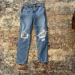 American Eagle Outfitters Jenas style mom Jeans size 2